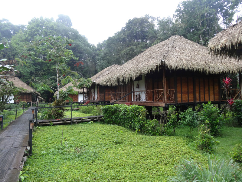 Sacha Lodge, Amazon