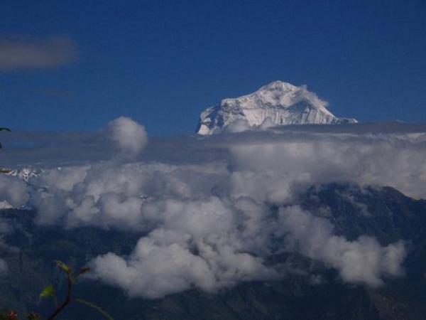La pojnte du mont Daulagiri par dessus les nuages - Ghorapani-