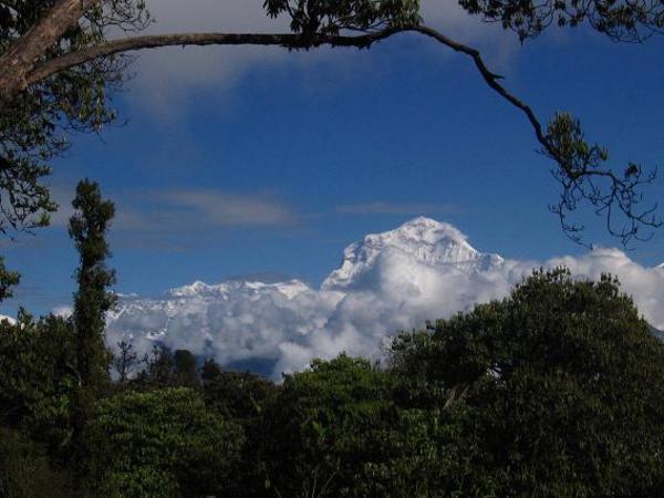 La vue sur les sentiers - Massif des Annapurnas-