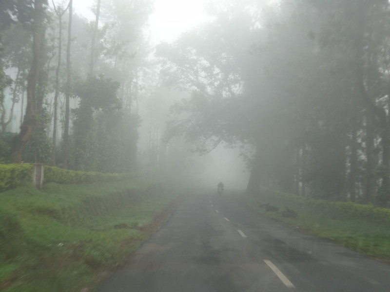 Enroute to Madikeri @5 AM.