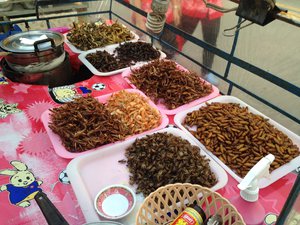 fried cockroaches, ants, and other insects