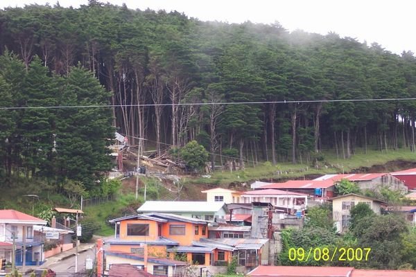 lumber operation on hillside