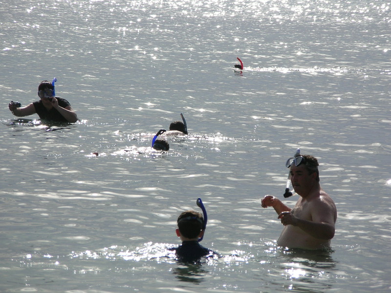 Rachel, Jeremy, and James Snorkeling at Kapalua Bay