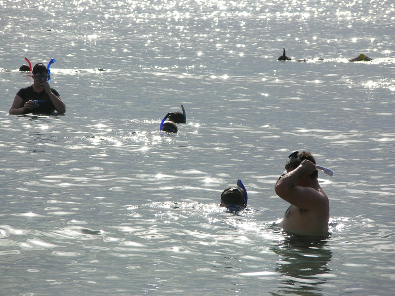 Snorkeling at Kapalua Bay