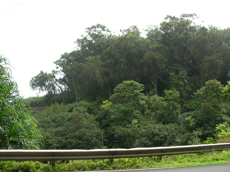 Road to Hana