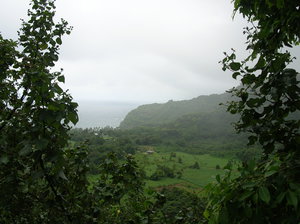 A valley on the way to Hana