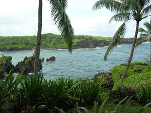 Waiapanapa Park view