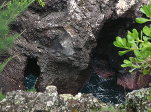 Sea Caves at Waiapanapa from the outside
