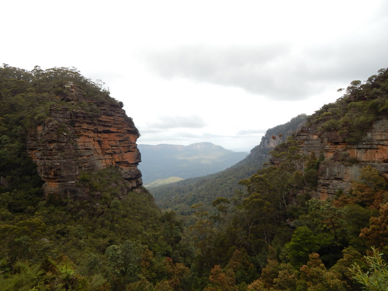 In the Blue Mountains