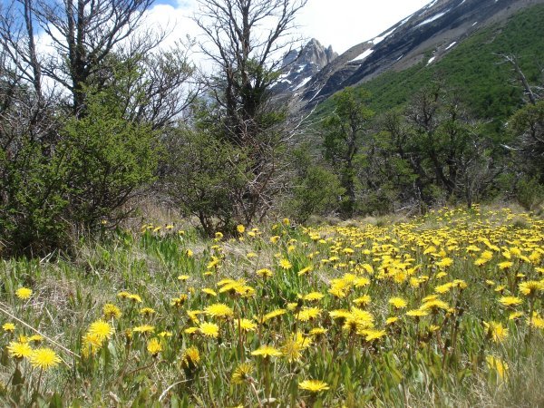 and then the most beautiul meadows on the lower parts