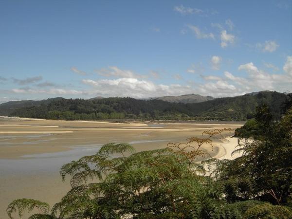 View at Abel Tasman