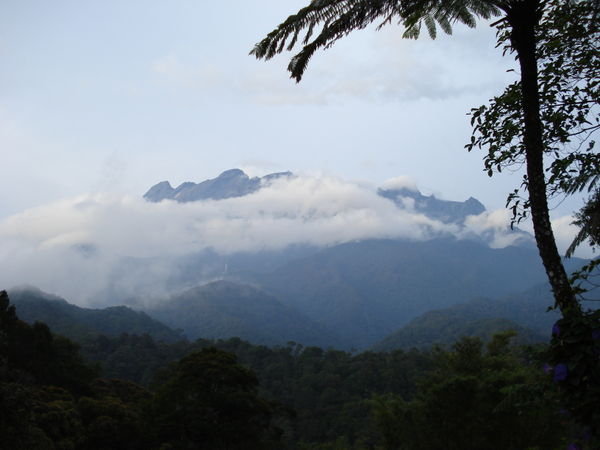 Mt. Kinabalu (i)