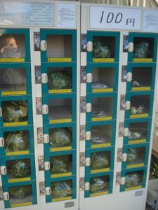 Cabbage vending machine