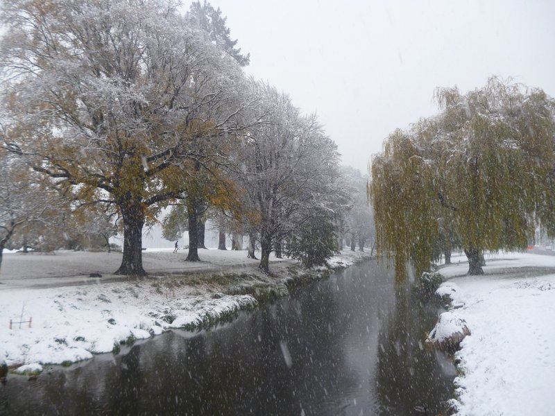 Haguley Park - Winter