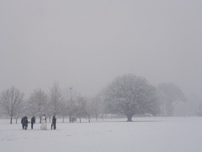 Haguley Park - Winter (ii)