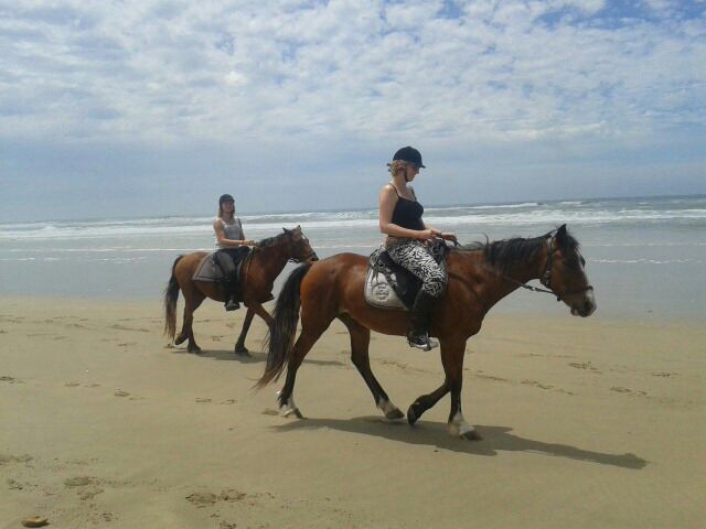 Horse riding on the beach 