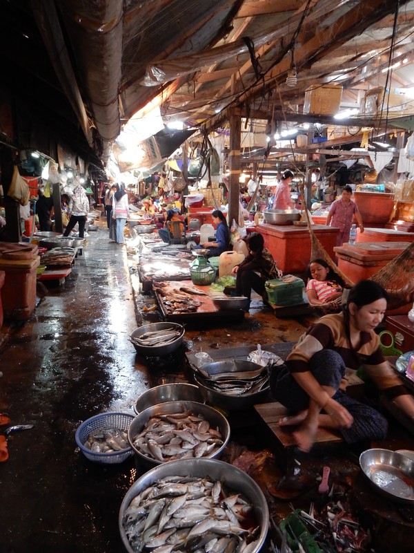 Market in Kampot - still some living fishes