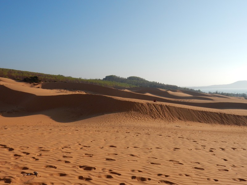 Yellow sand dunes