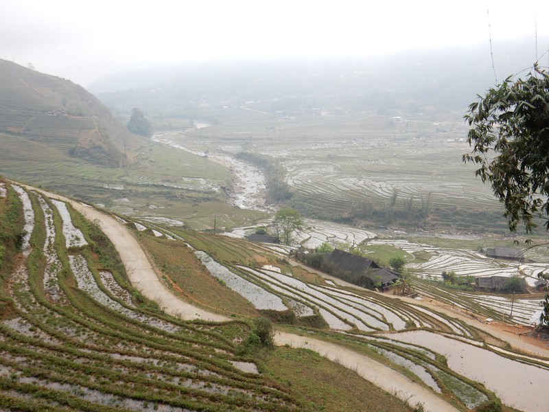 Rice terraces in the early morning