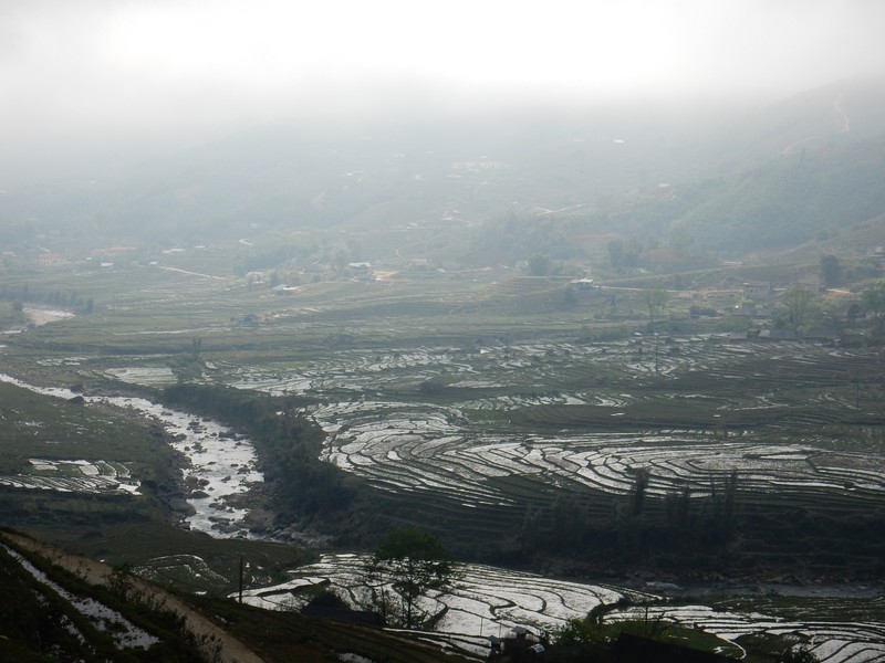 Rice terraces in the early morning