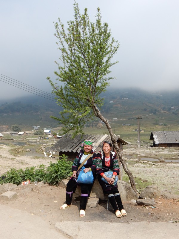 Hmong ladies (Native people) from mountains in Sapa