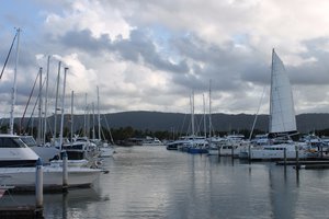 Harbour of Port Douglas
