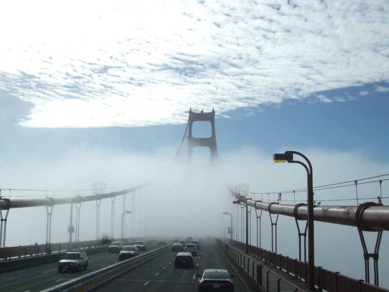 Fog and Bridge