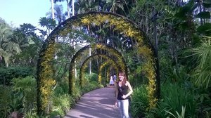 Singapore- Botanic Gardens