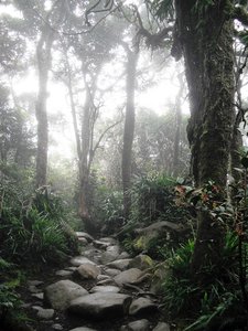 Kinabalu via Ferrata