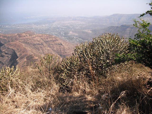 Pune's fort