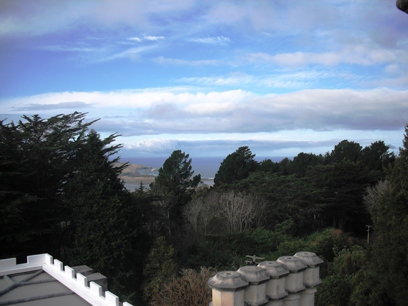 View from the castle in Dunedin