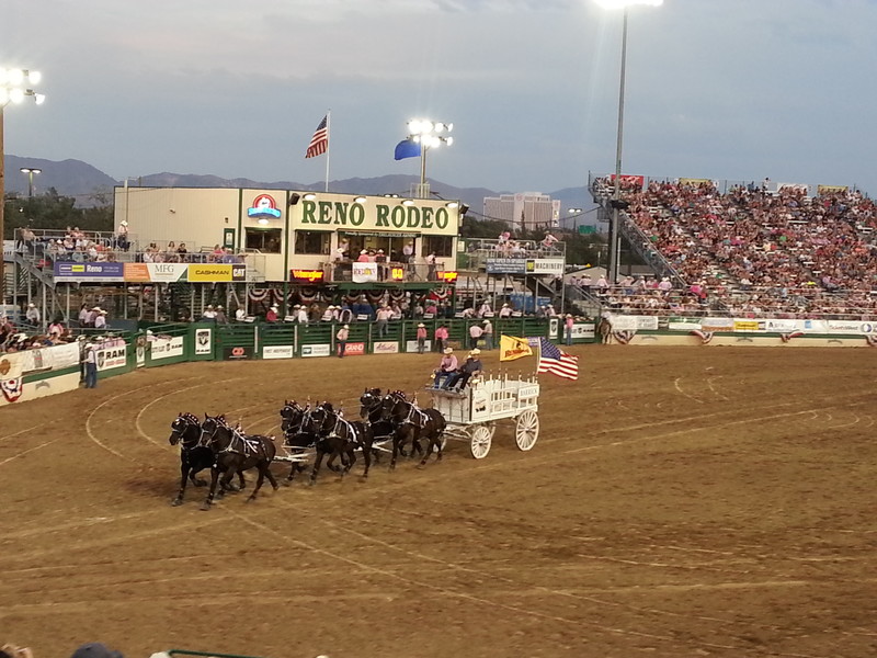 Biggest Rodeo in the US.