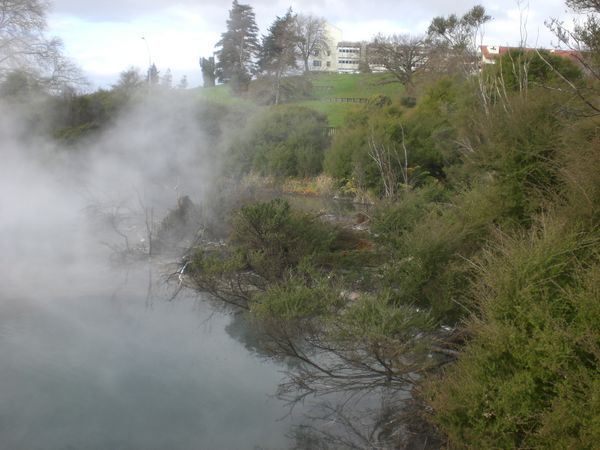 Rotorua Park