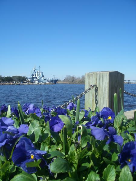 Waterfront in Wilmington. 