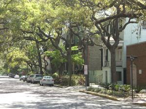 Gesäumt von den alten Lebenseichen verlaufen die Straßen in Savannah schnurgerade. 