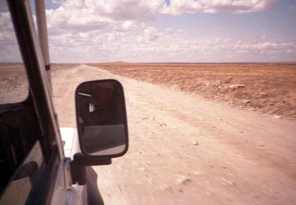 Serengeti highway II