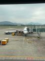 Aéroport de Danang. Nous avons vu nos 2 bagages chargés dans la soute