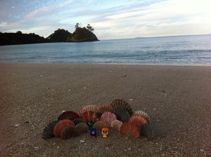 Whangapoua beach et Mise en scène made on Linchy