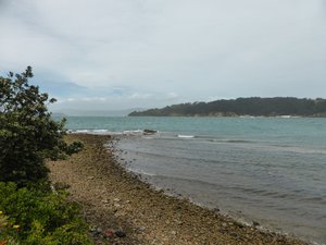 Wellington, Oriental bay