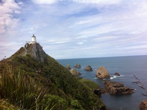 Catlins : Nugget point