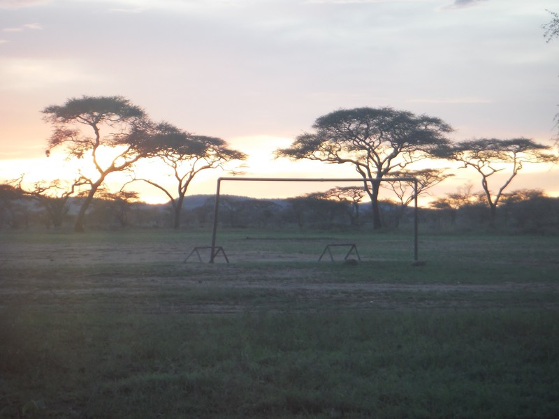 Goal posts in the middle of the Serengeti