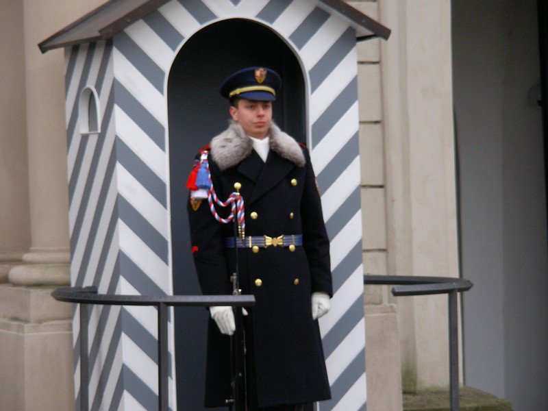 Castle guard