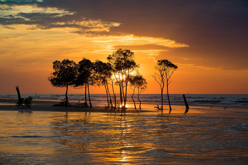 Sunset over the mangroves