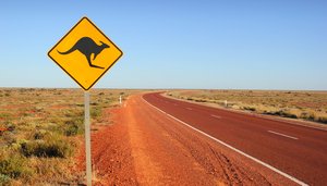 Australian Road Trip