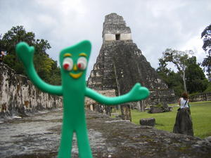 Tikal Gumby