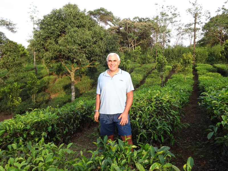 Paul in a tea plantation