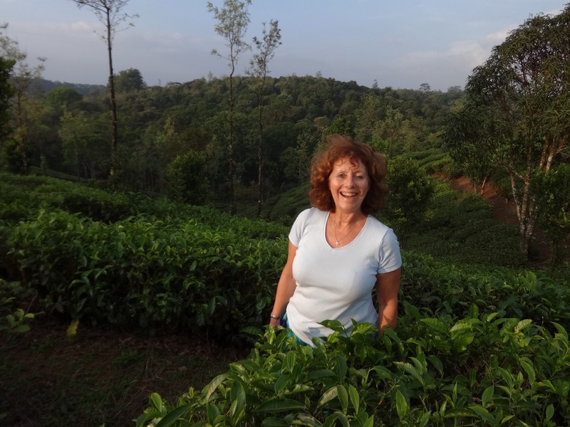Diane in a tea plantation