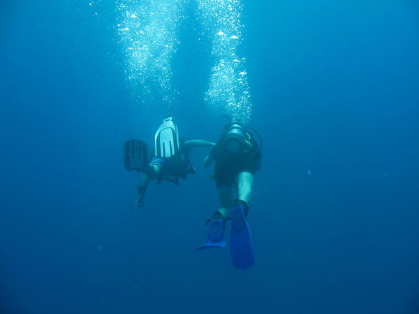 fellow divers