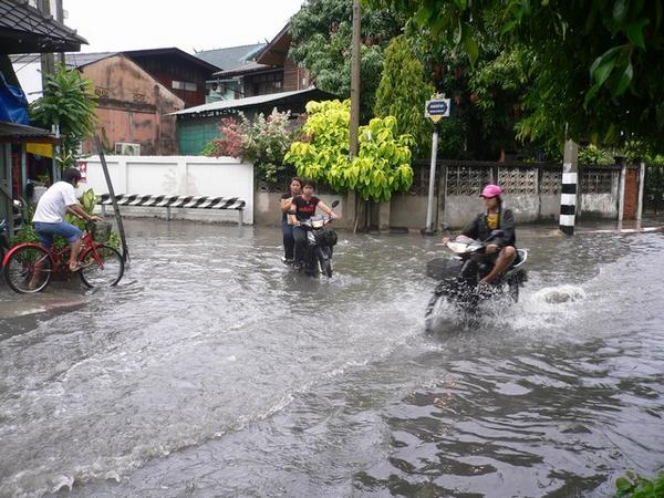 Flooded Chiang Mai