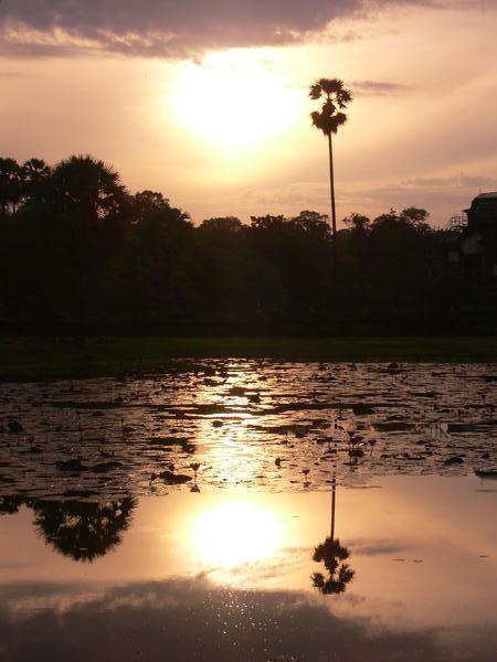 Angkor Wat pond reflection